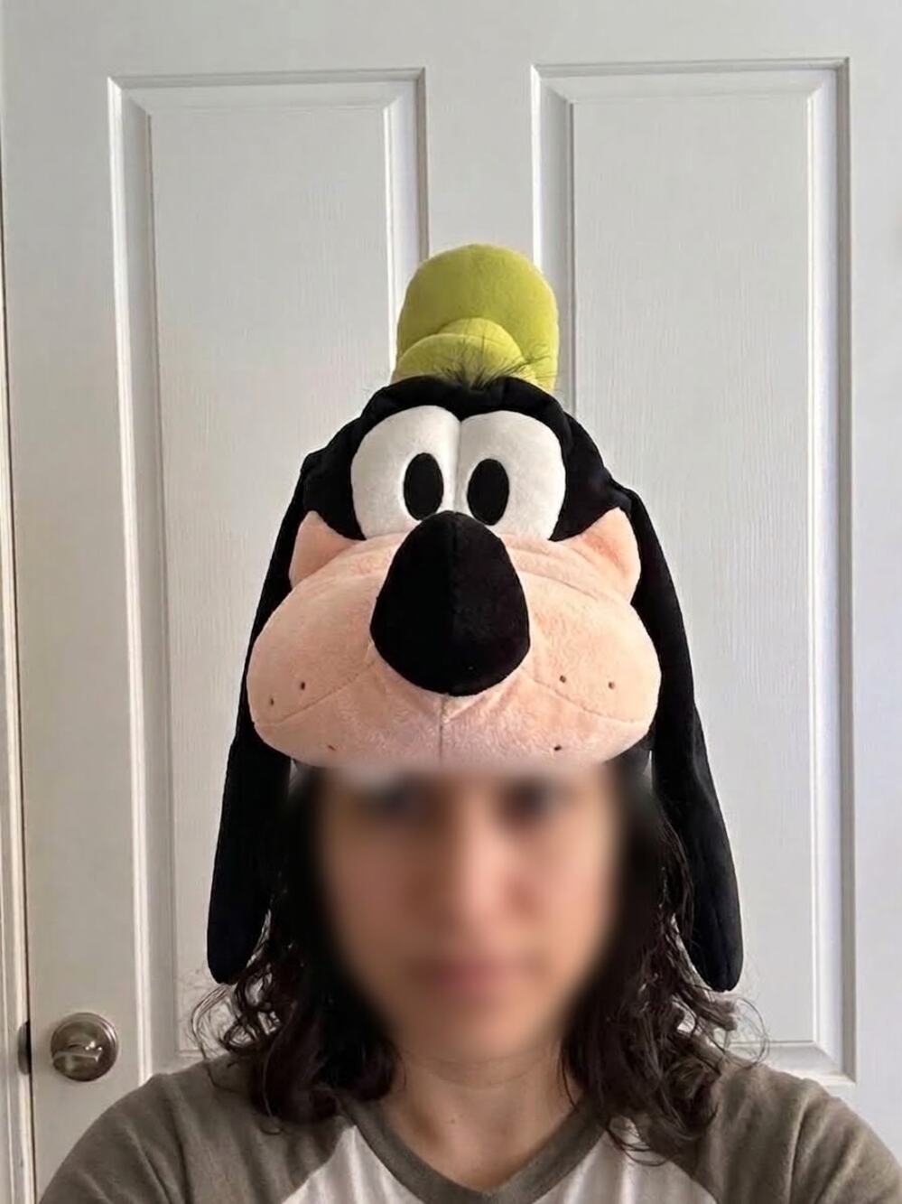 Disneyland Resort Adult Child Plush Goofy Character Hat Costume Size adjustable